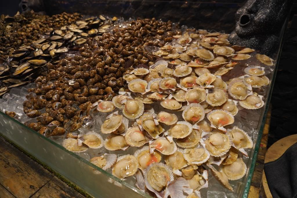 DSC07658.JPG
